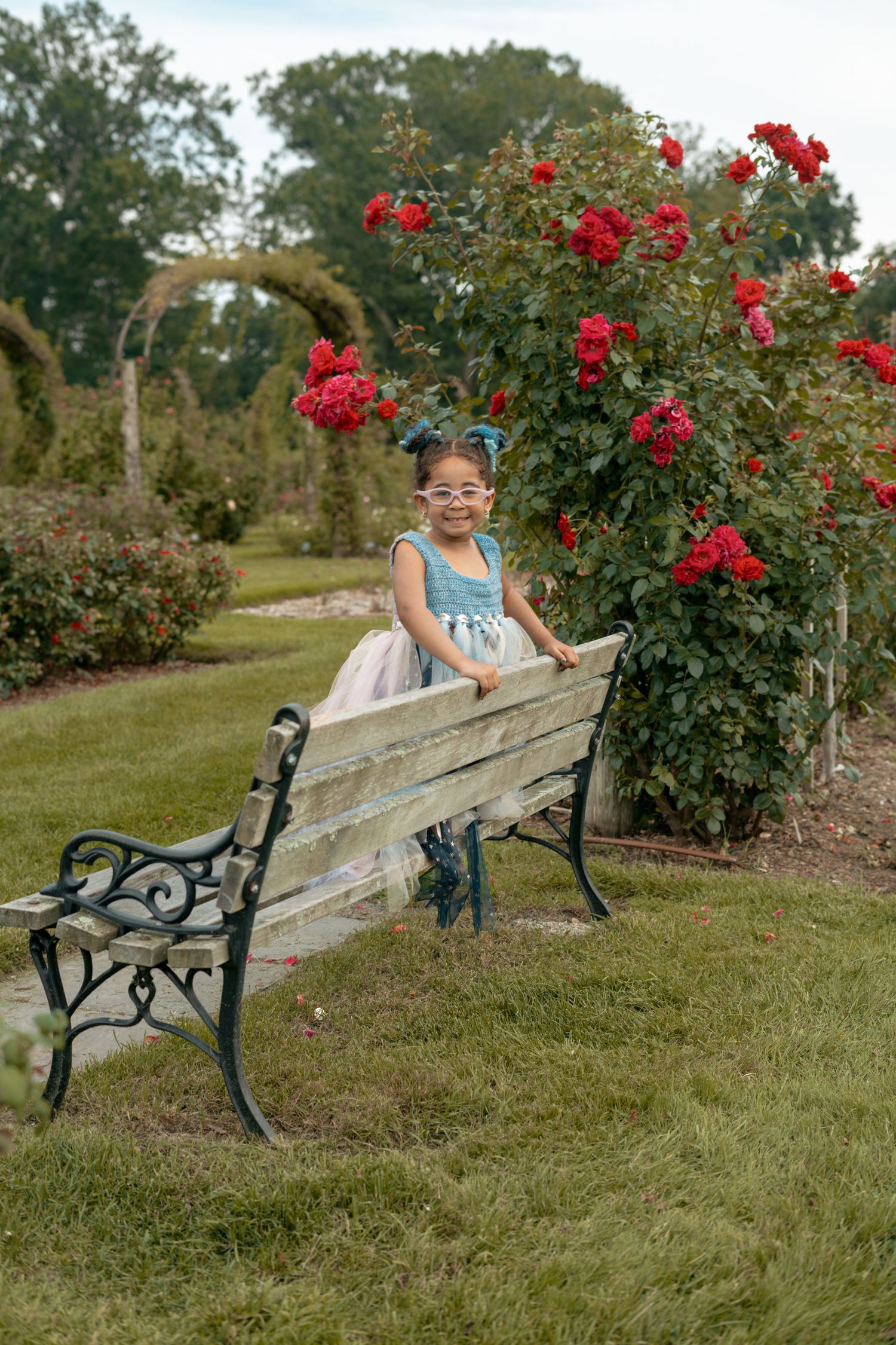 A young girl in a blue dress stands by a garden bench surrounded by blooming red rose bushes.