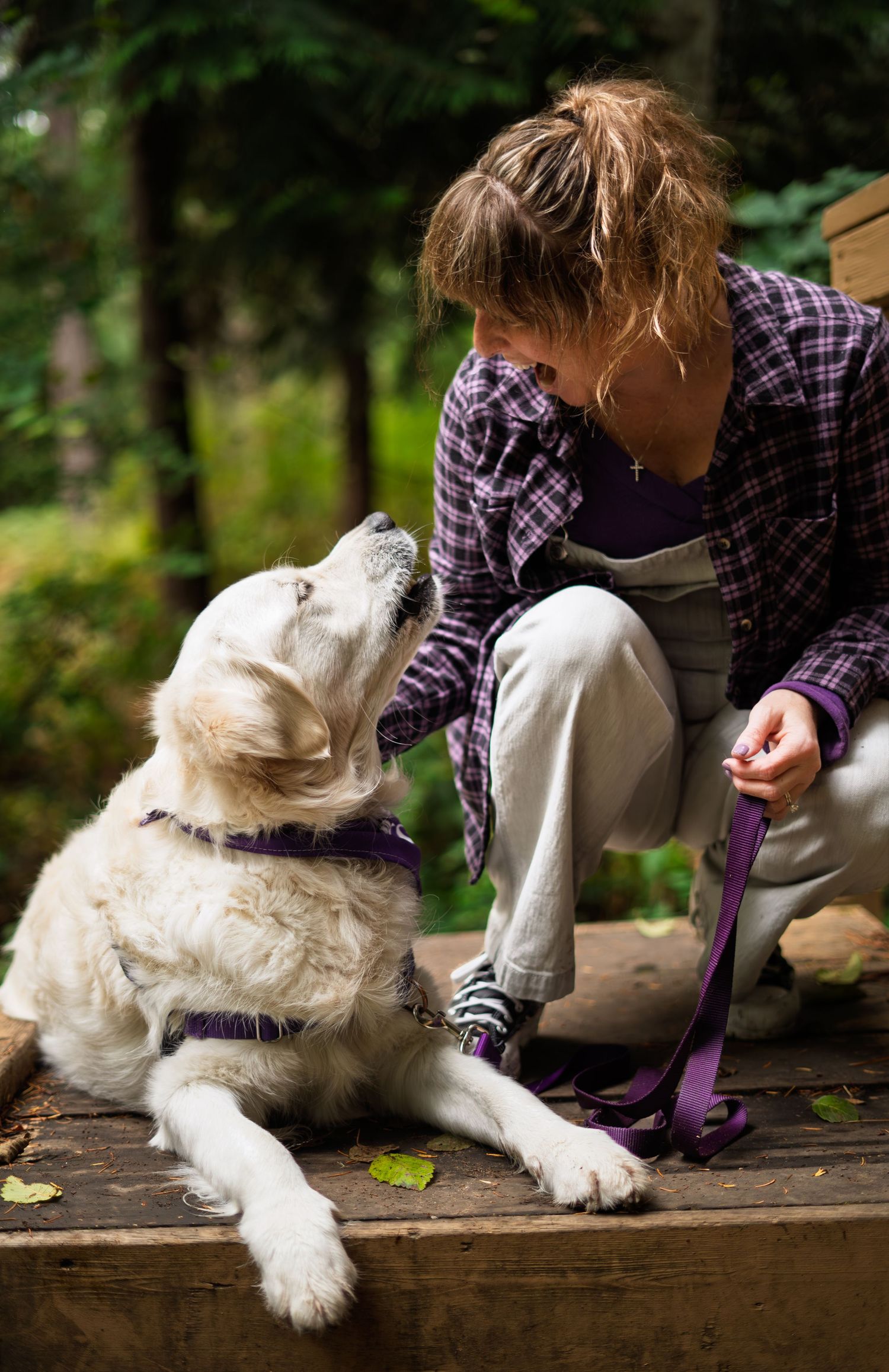 A woman in a plaid shirt interacts with a white Golden Retriever on a wooden deck in a lush forest setting.