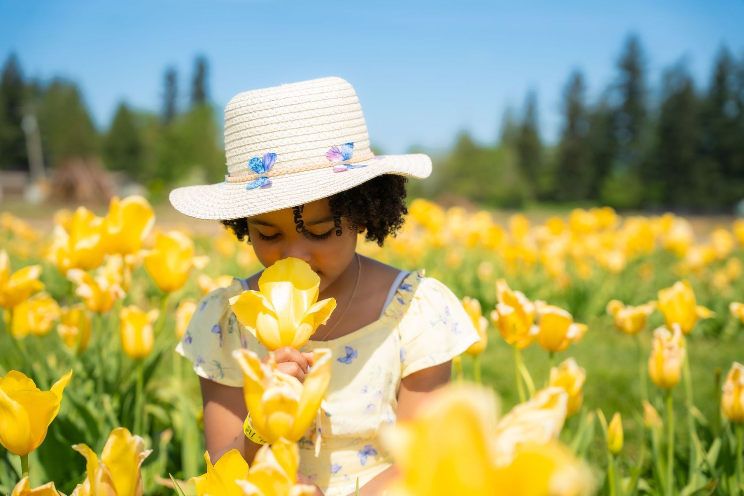 Young girl in yellow floral dress and straw hat smelling yellow tulips in a sunny flower field.