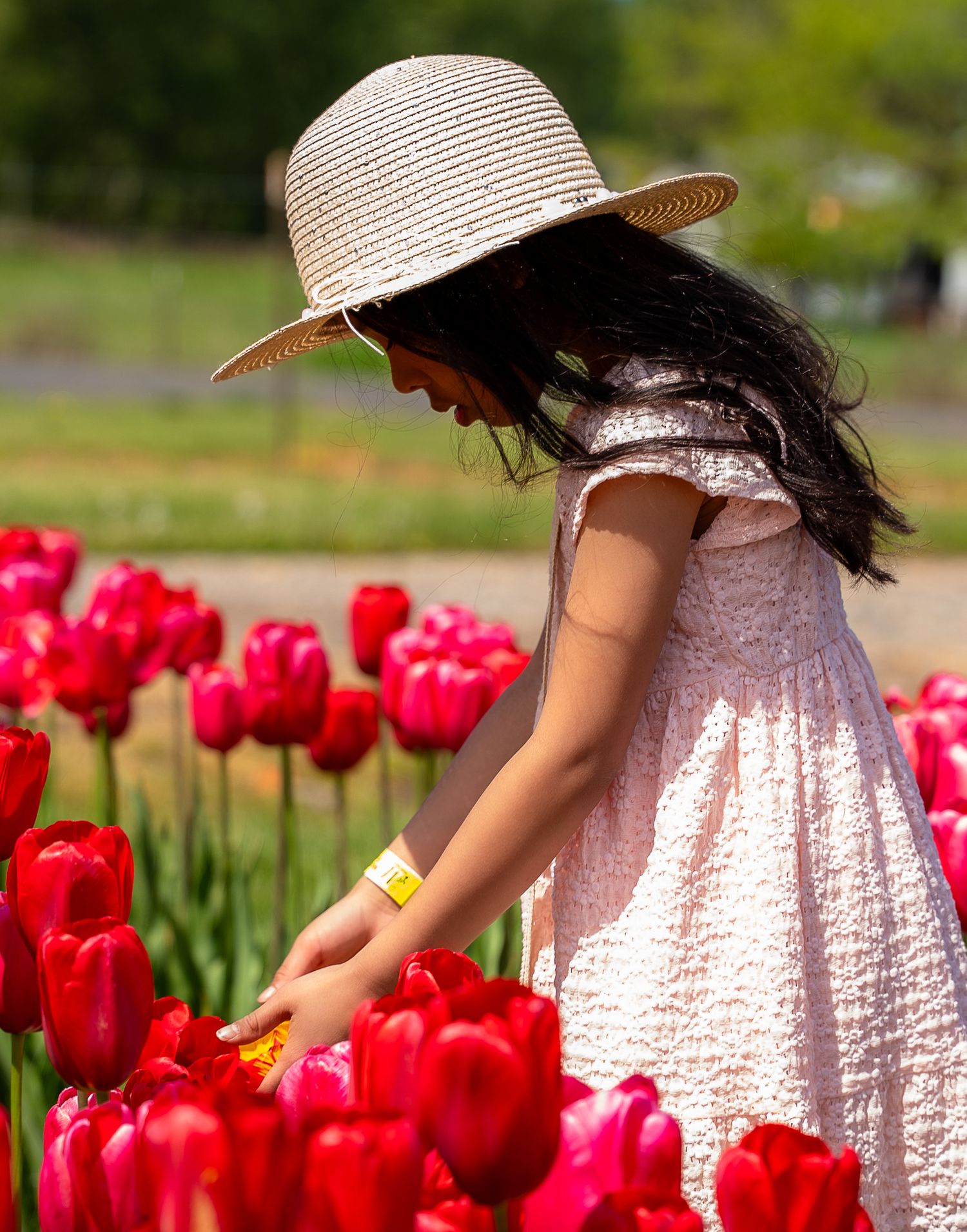 Young girl in straw hat and pink dress touching red tulips in a vibrant flower field.