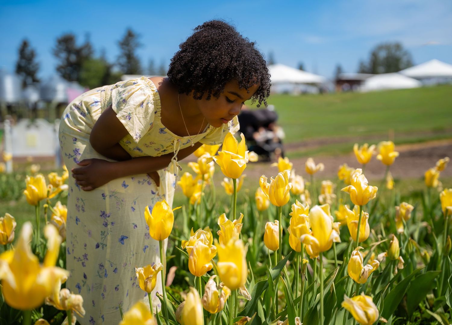 Young girl in yellow floral dress smelling bright yellow tulips in a sunny garden.
