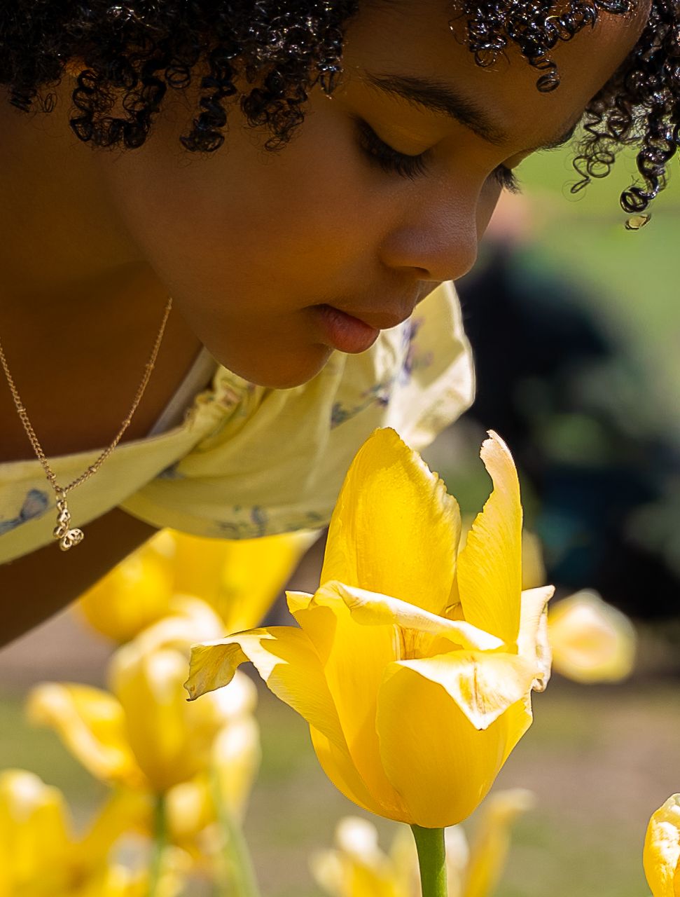 Young girl with curly hair smelling a bright yellow tulip outdoors in a garden.
