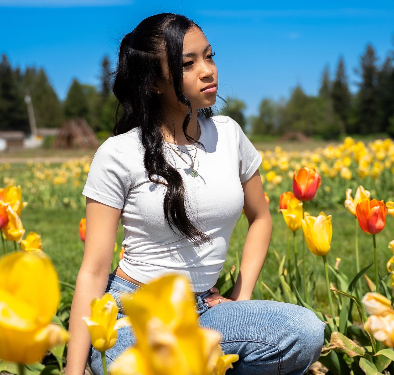Young woman in white crop top and jeans sitting in a vibrant yellow tulip field.