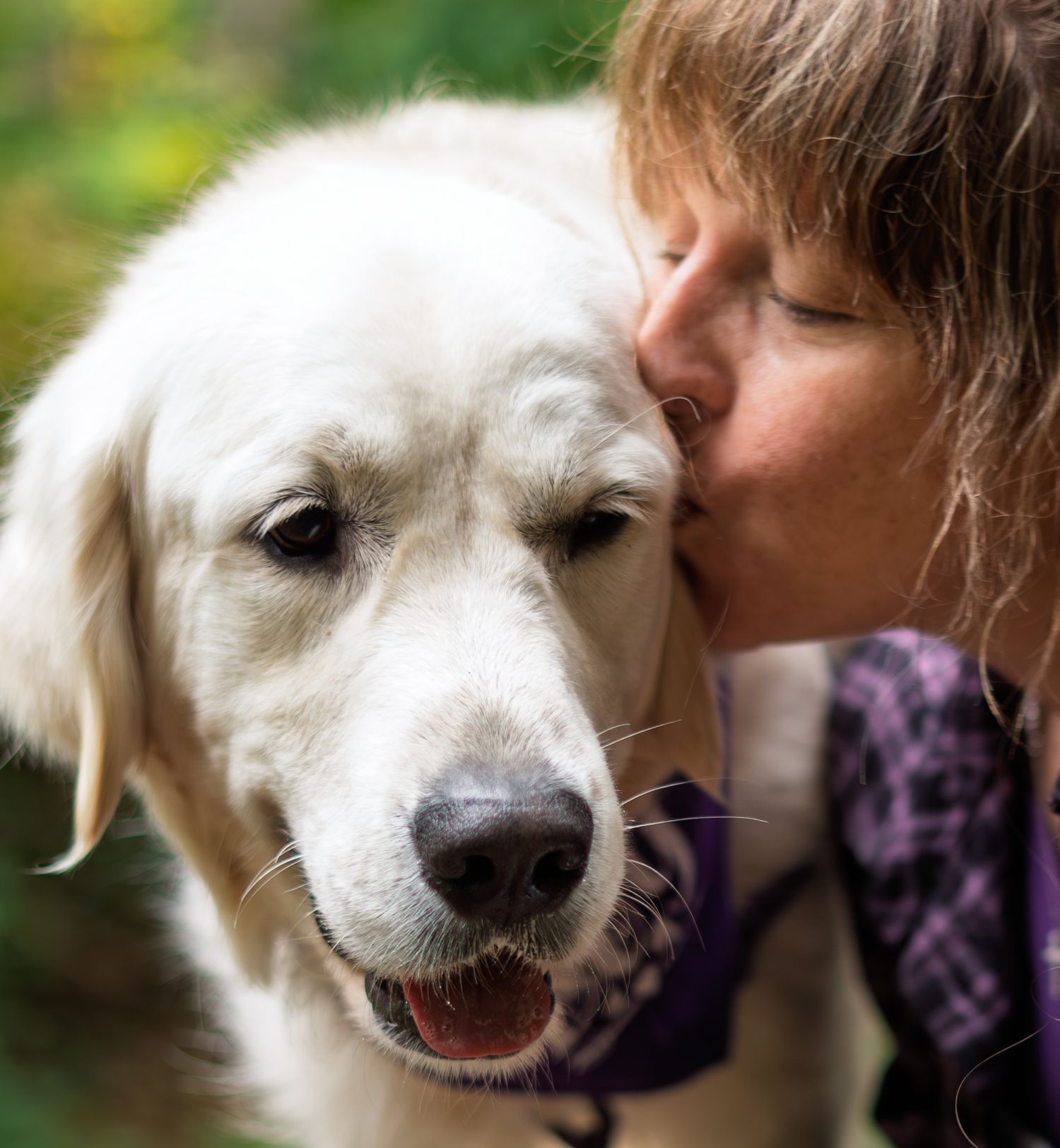 A woman affectionately kisses a white Golden Retriever on the head in an outdoor garden setting.