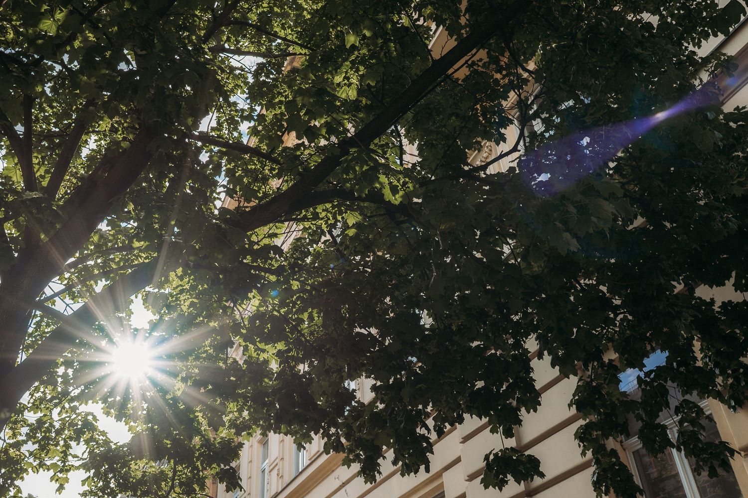 Editorial couple photography in Zagreb with cinematic composition