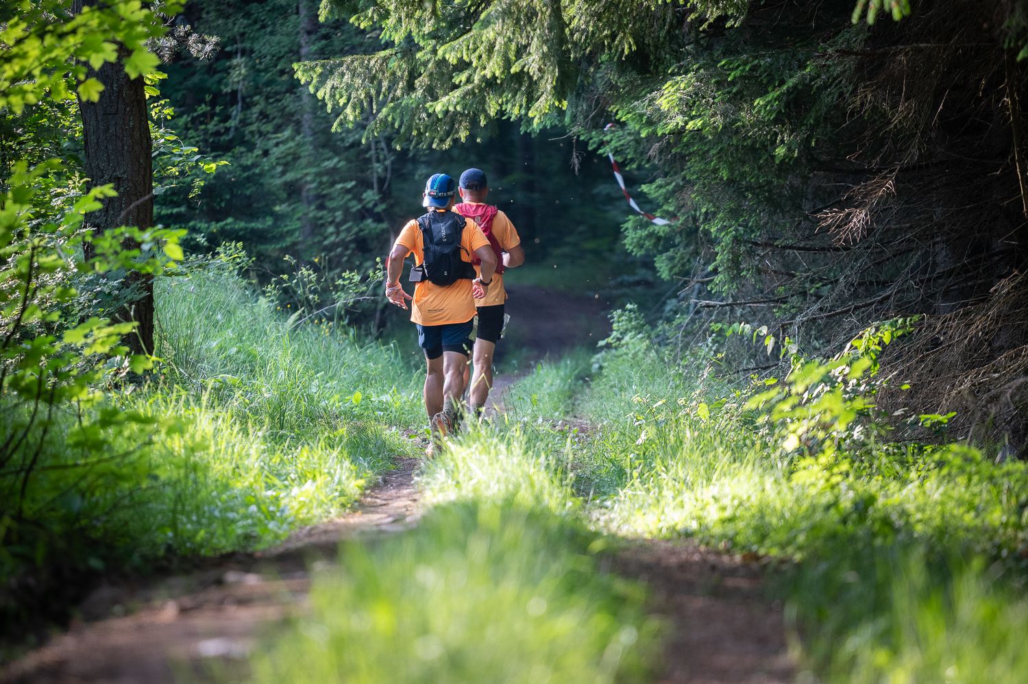 Vitosha 100