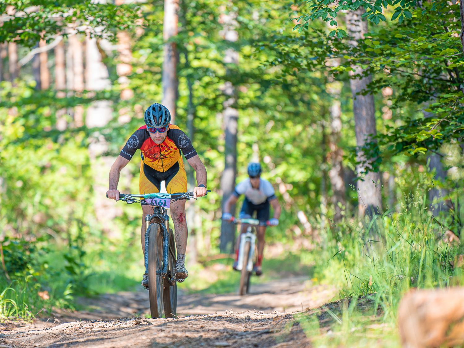 Vitosha 100