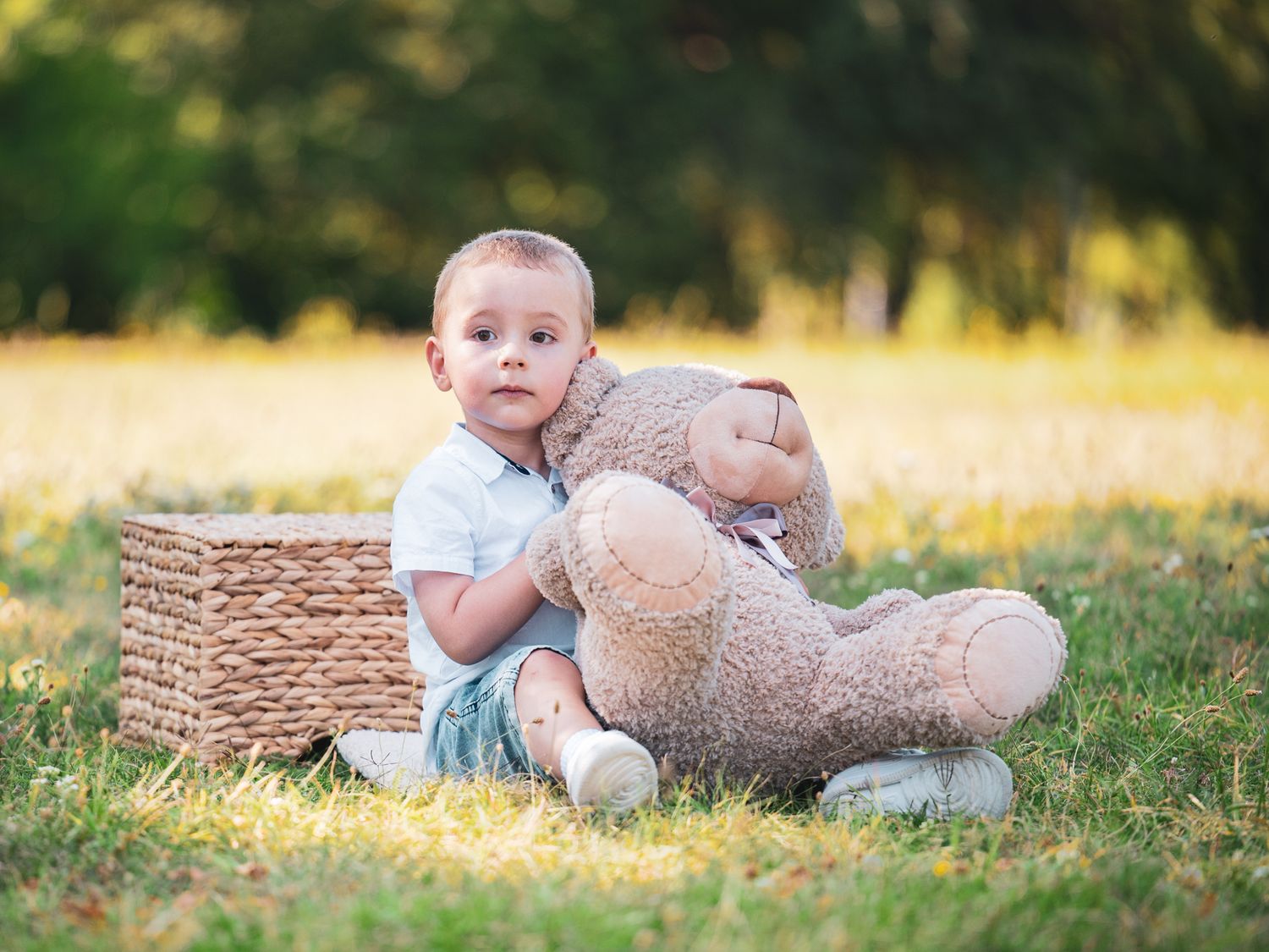 Bear PhotoSession