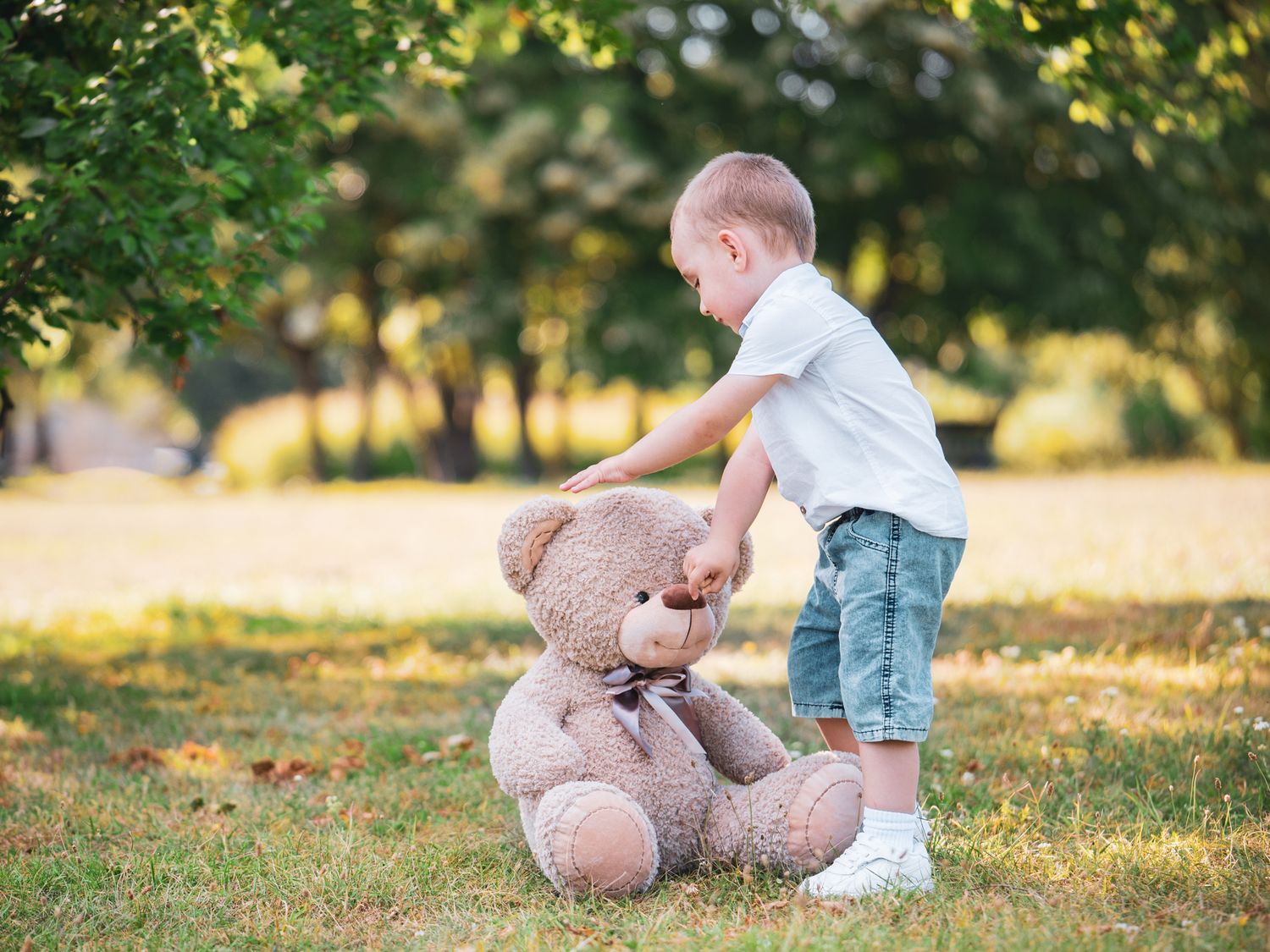 Bear PhotoSession