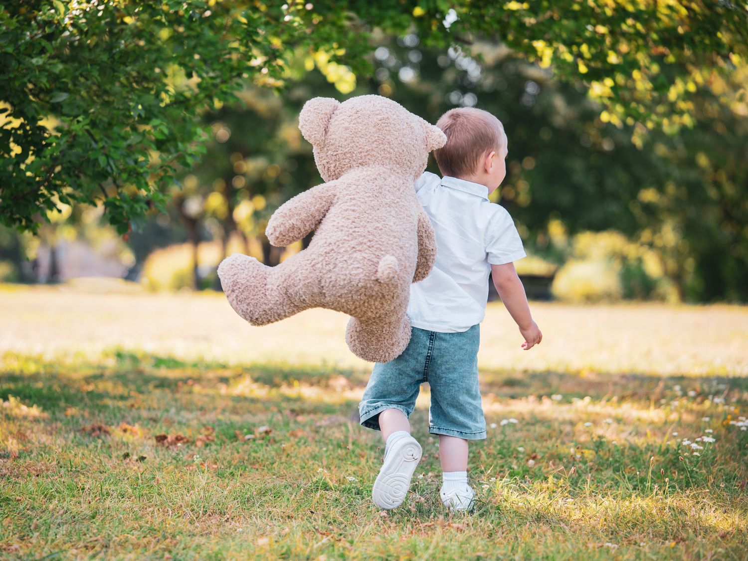 Bear PhotoSession