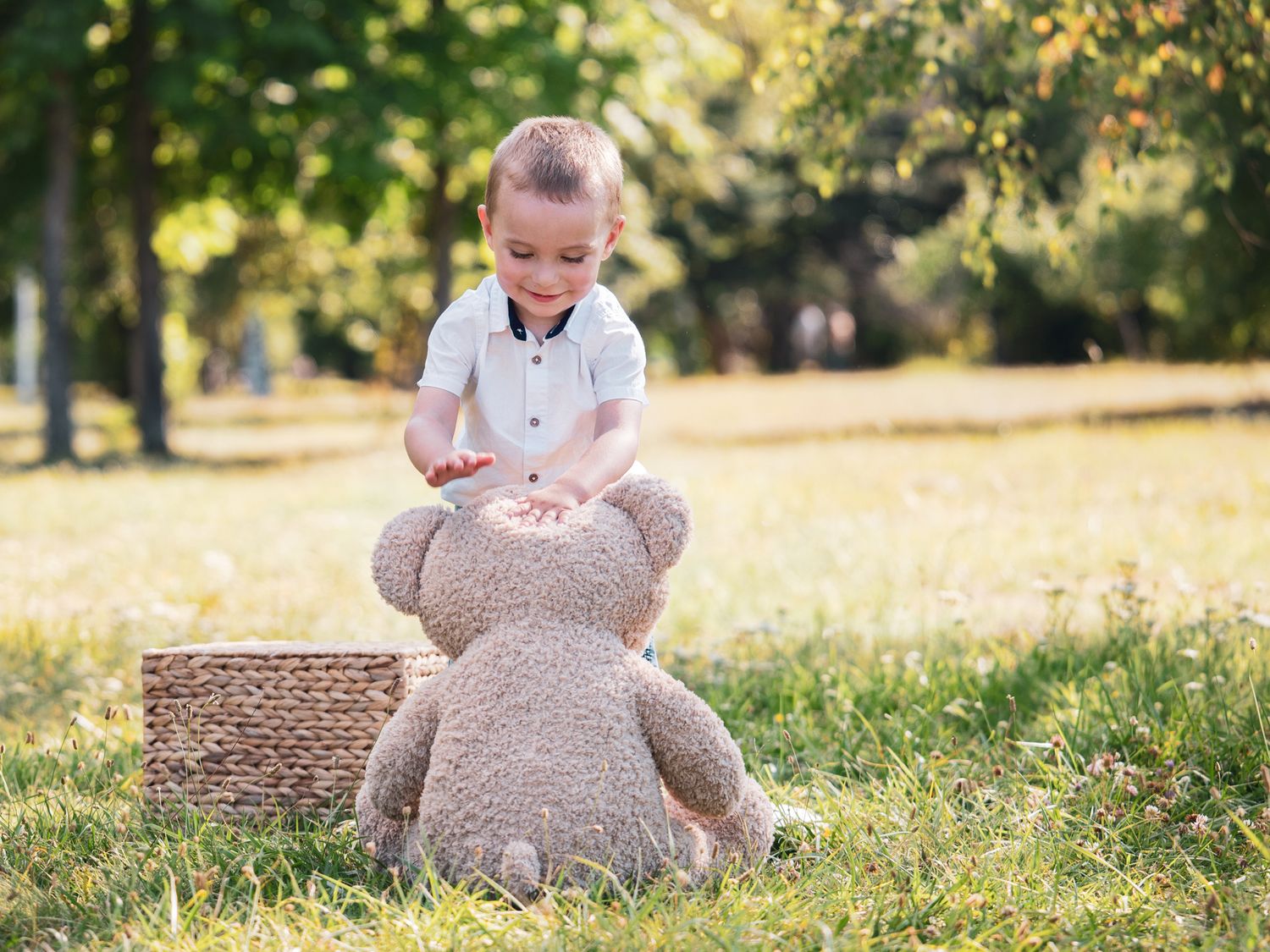 Bear PhotoSession