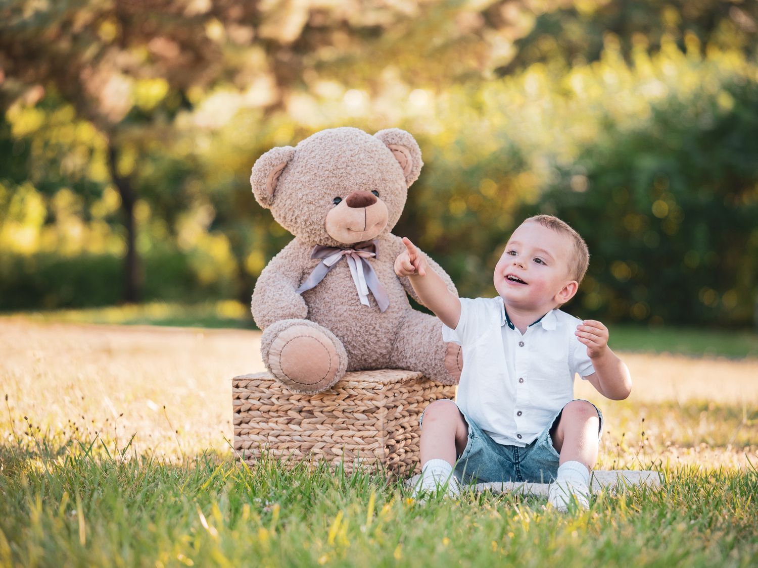 Bear PhotoSession