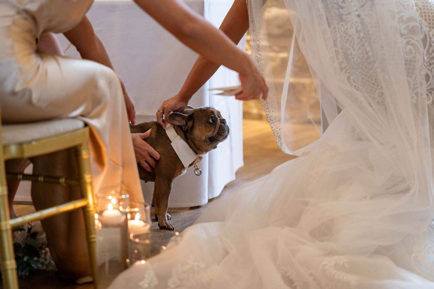 A bulldog wearing a bow tie sits between a bride in a white lace gown and groom during a candlelit wedding ceremony.