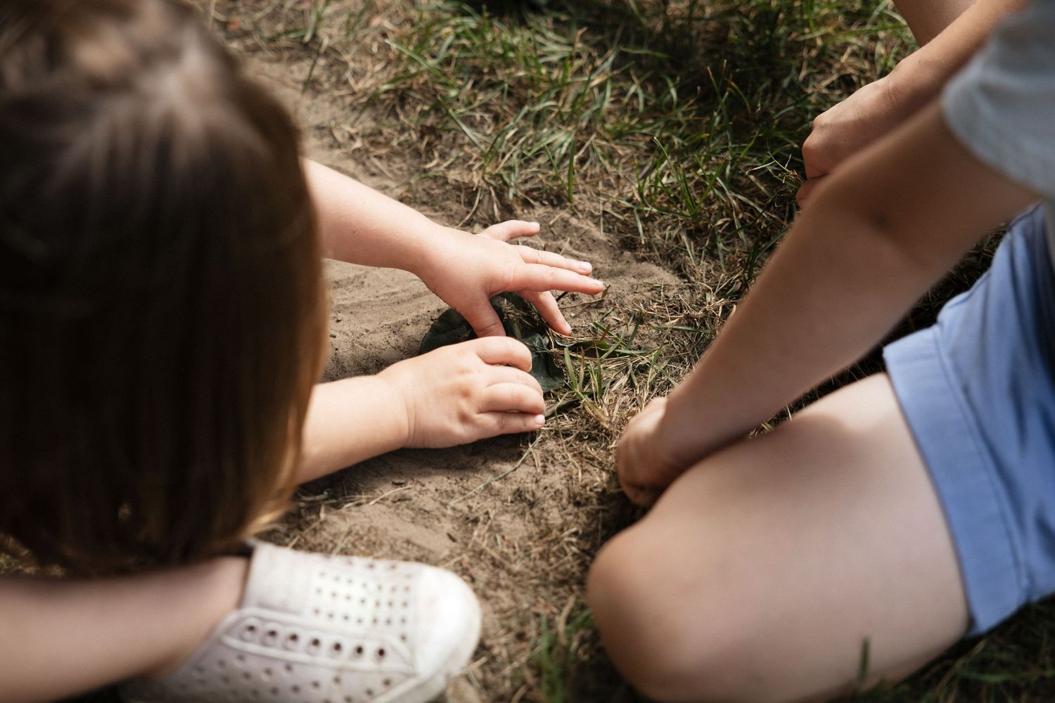 Two children sitting on grass, examining a small object together outdoors on a sunny day.
