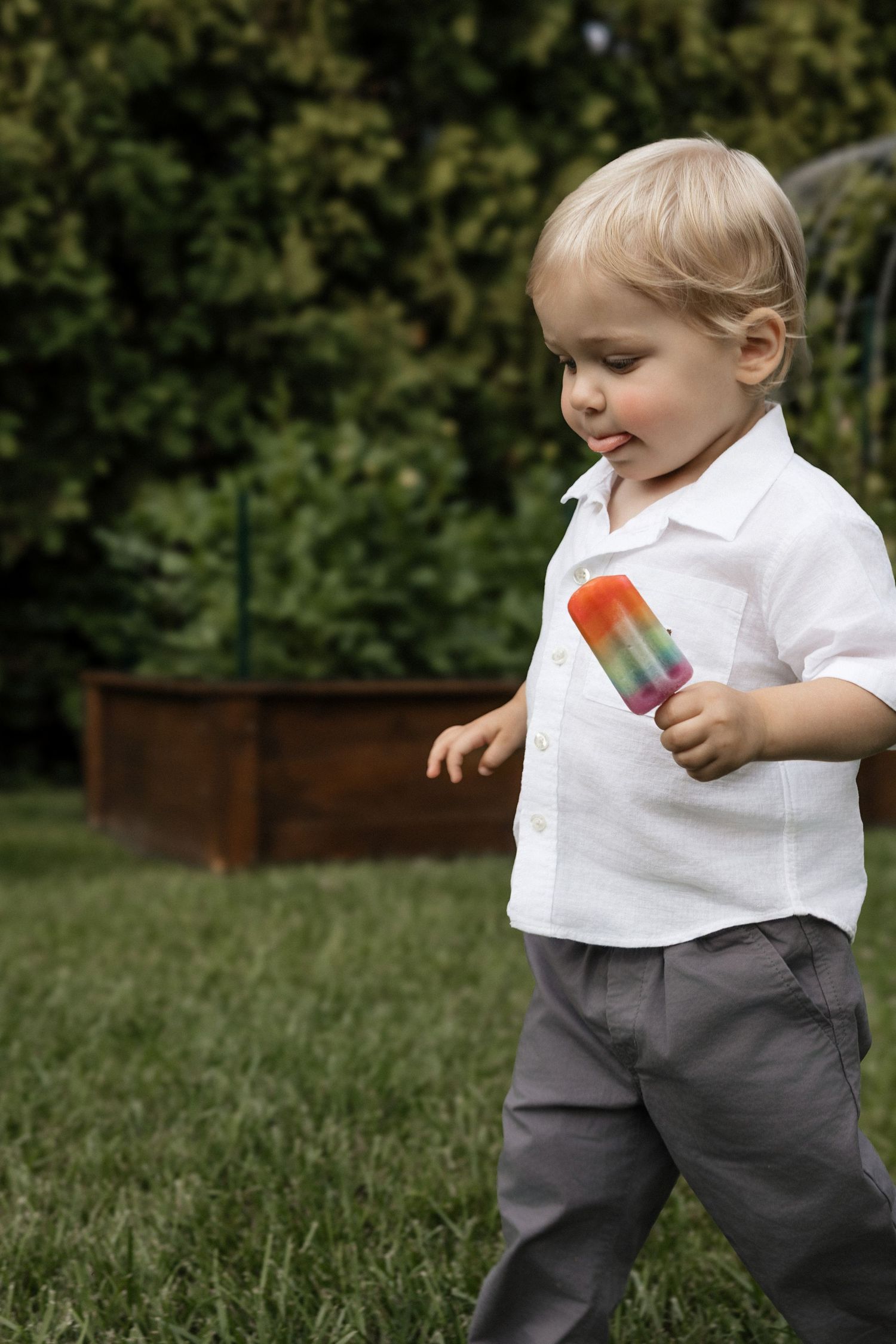 Toddler boy in white shirt holding a colorful rainbow popsicle while walking on green grass in a backyard.