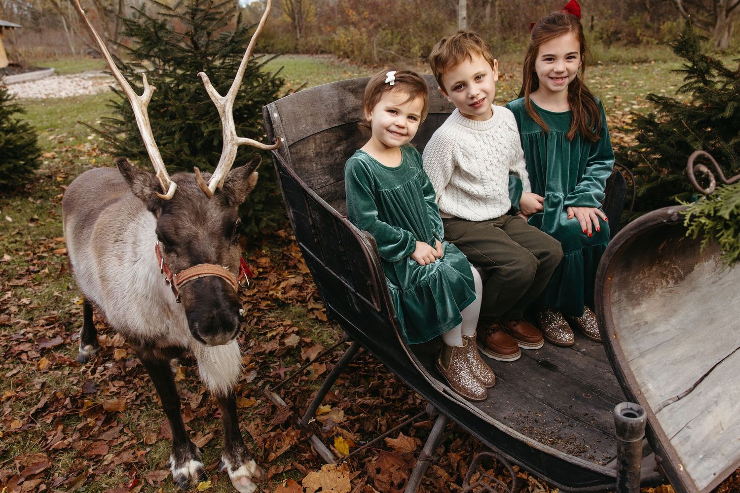 Three children in green holiday outfits sit in a vintage sleigh beside a reindeer outdoors.