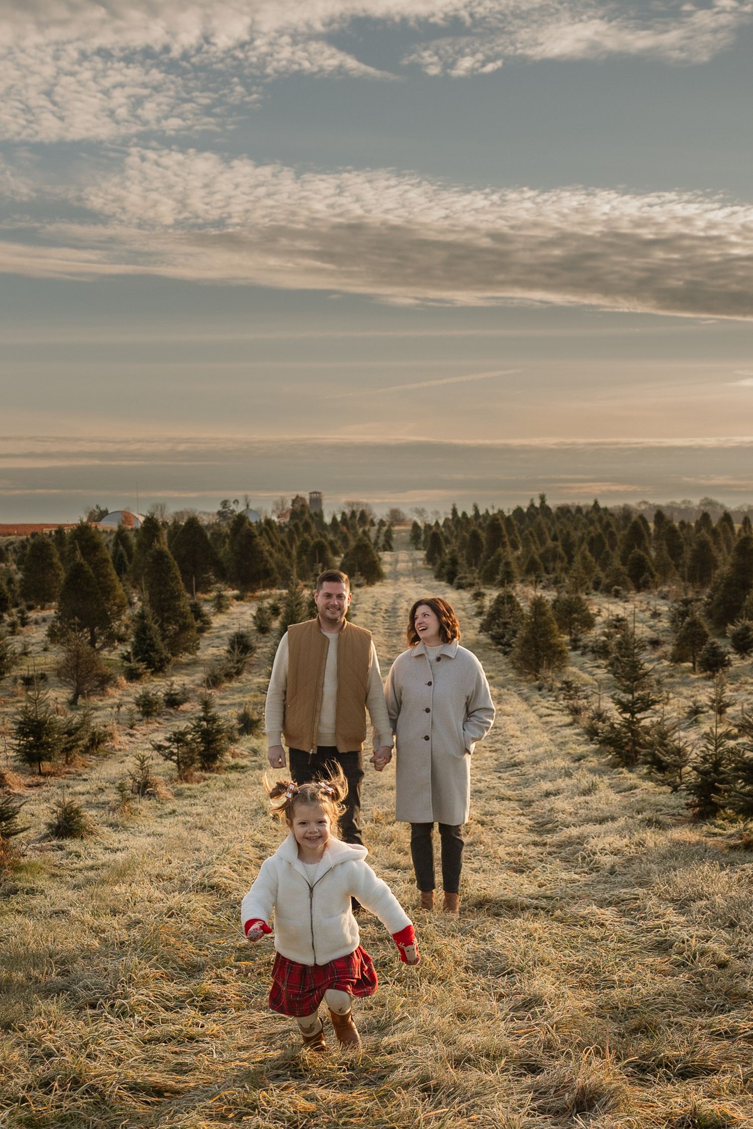Young family with toddler strolling through a Christmas tree farm at golden hour sunset.
