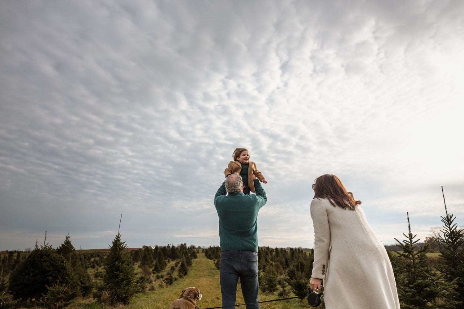 Family at a Christmas tree farm, father lifting child overhead under dramatic cloudy sky.
