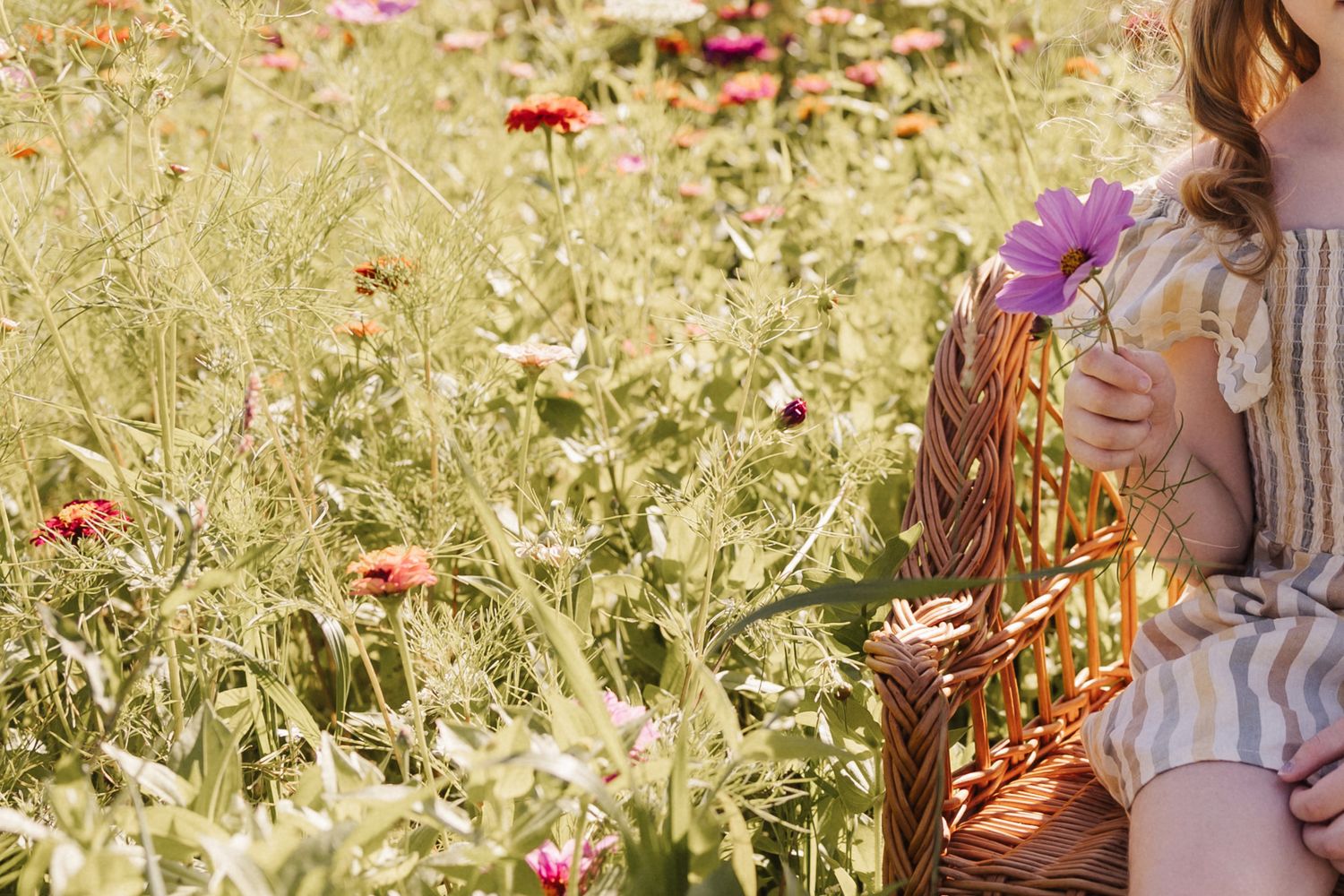 Girl sitting in a sunny wildflower field holding a purple flower with a wicker basket.