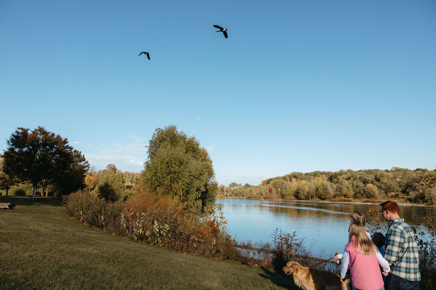 Family and dog watching geese fly over a calm river surrounded by colorful autumn trees on a sunny day.