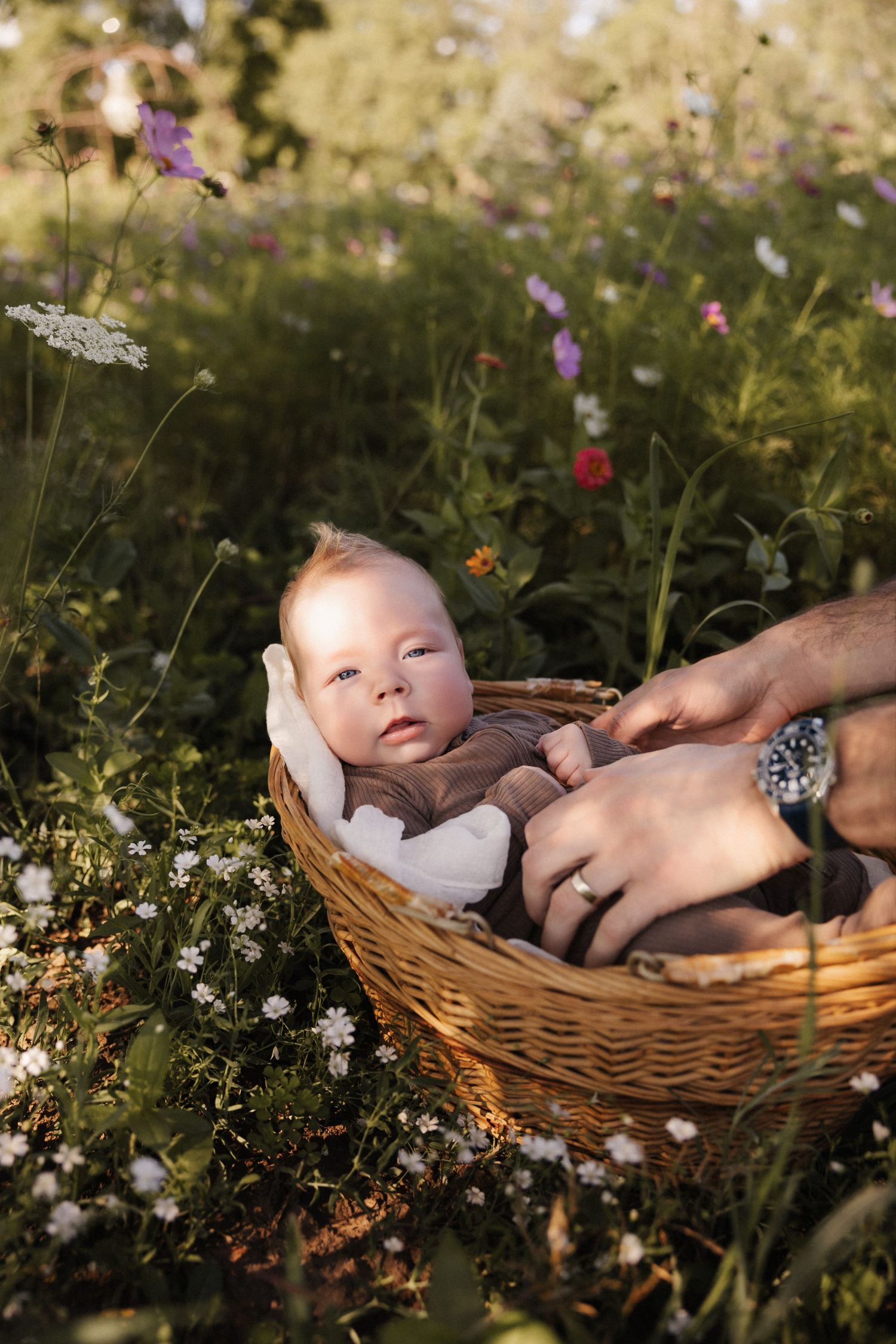 Newborn baby resting in a wicker basket surrounded by wildflowers, with a parent's hands gently holding them.