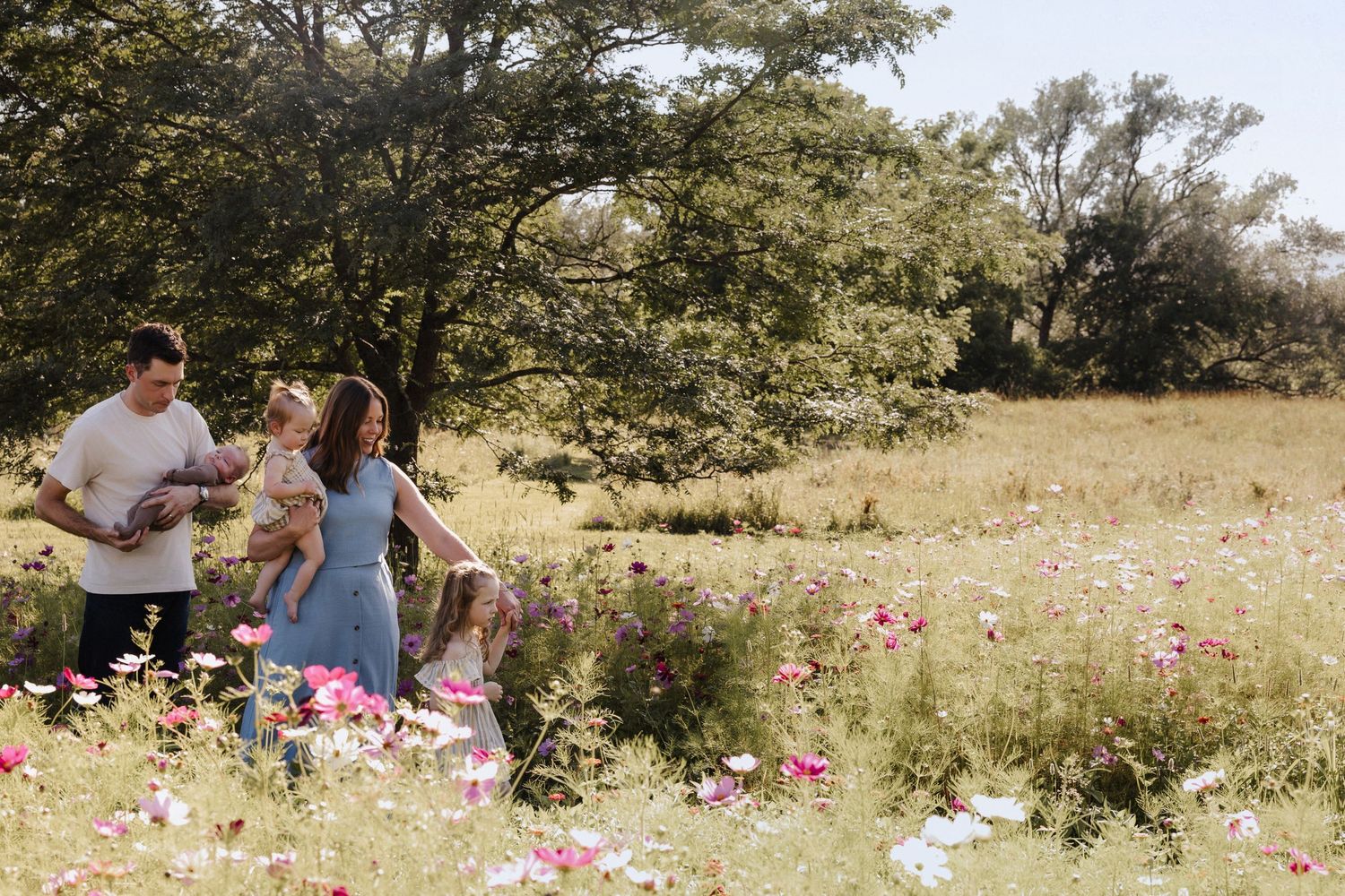 Family walking through a sunny wildflower meadow with pink cosmos blooms and lush green trees in the background.