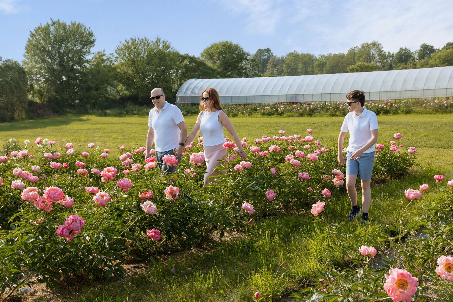 Family of three walking through rows of blooming pink peonies on a sunny day at an outdoor flower farm.