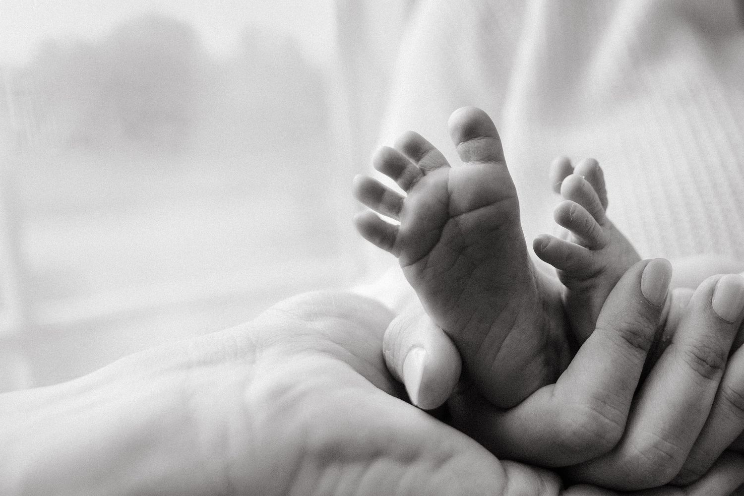 Parents tenderly holding tiny newborn baby feet in their hands in a soft black and white image.