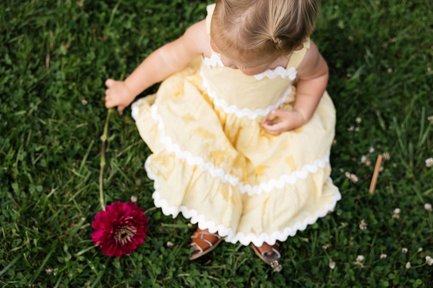 Toddler girl in yellow ruffle dress sitting on green grass holding a red gerbera daisy flower.