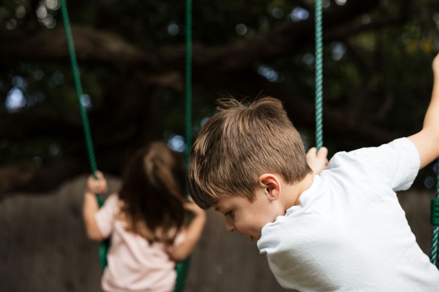 Two children playing on green rope swings outdoors near a large tree.