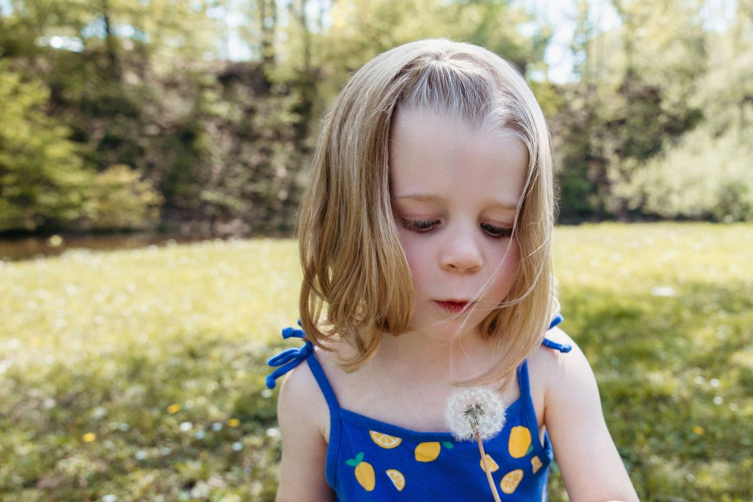 Young girl in blue dress blowing dandelion seeds in sunny green park.