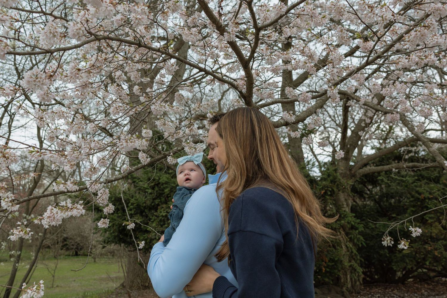 A mother holds her baby in blue while standing beneath a blooming cherry blossom tree outdoors.