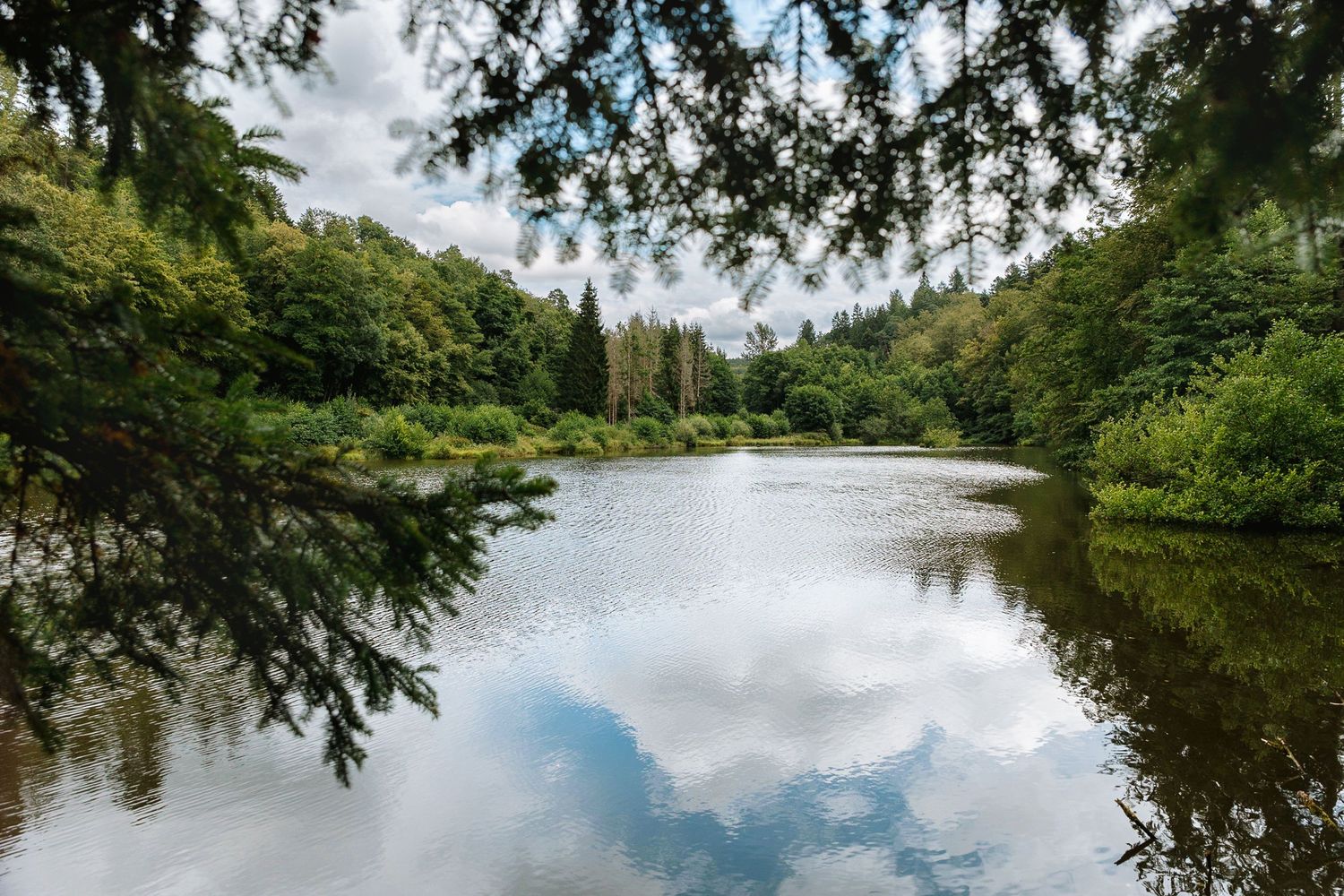 Fotoshoot natuurlijke omgeving Zwolle Heerenveen