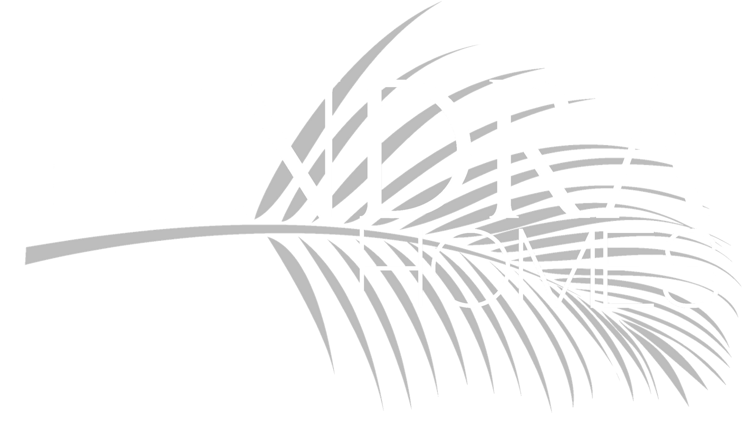 Black and white logo design for Tundra Homes with decorative palm frond element against dark background.