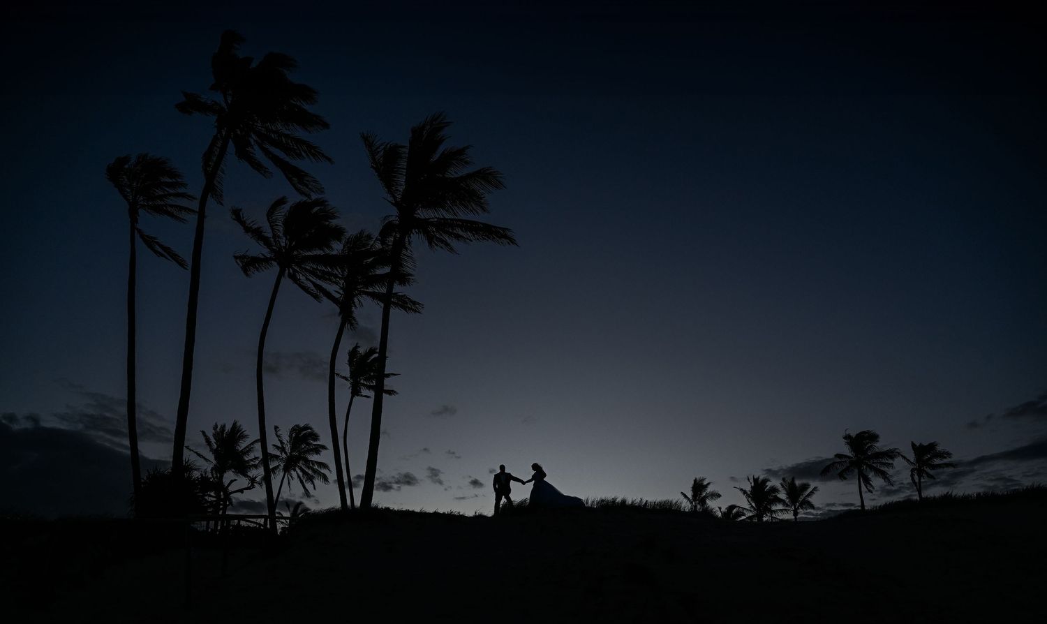 Silhouettes against night sky with palm trees and moonlit background.