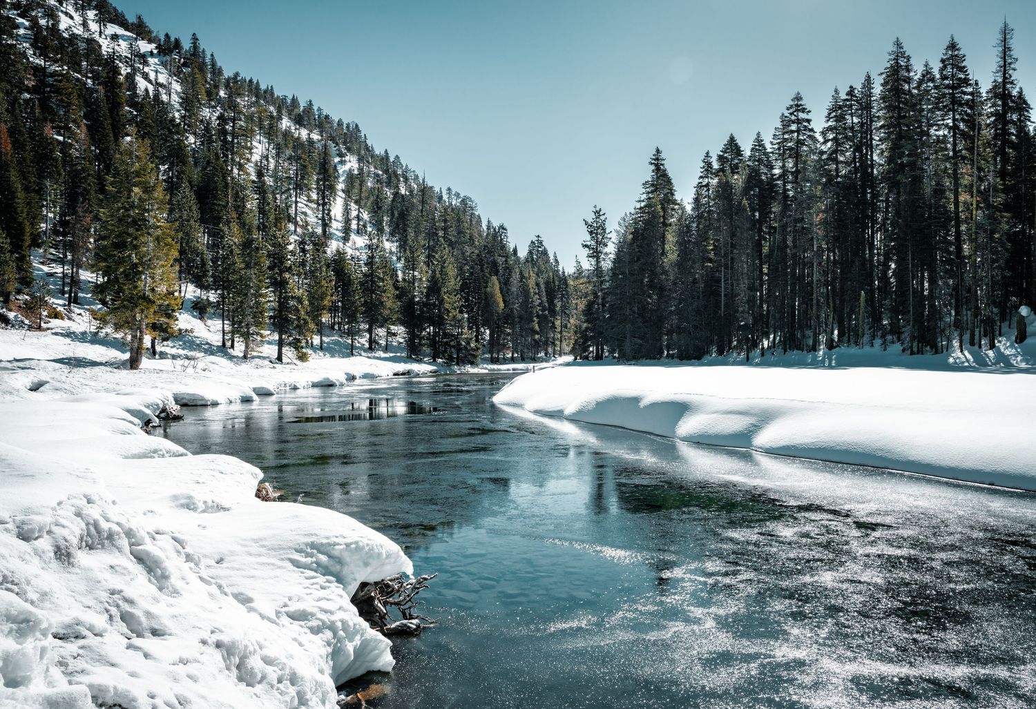 Icy tahoe river surrounded by a frozen forest