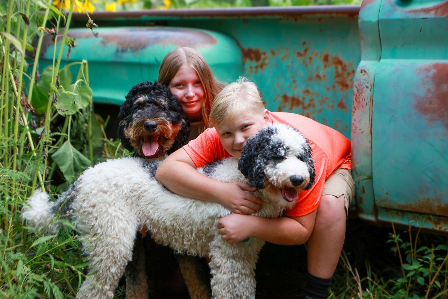 A series of photos showing playful interactions between a curly-haired white dog and someone in an orange shirt outdoors.