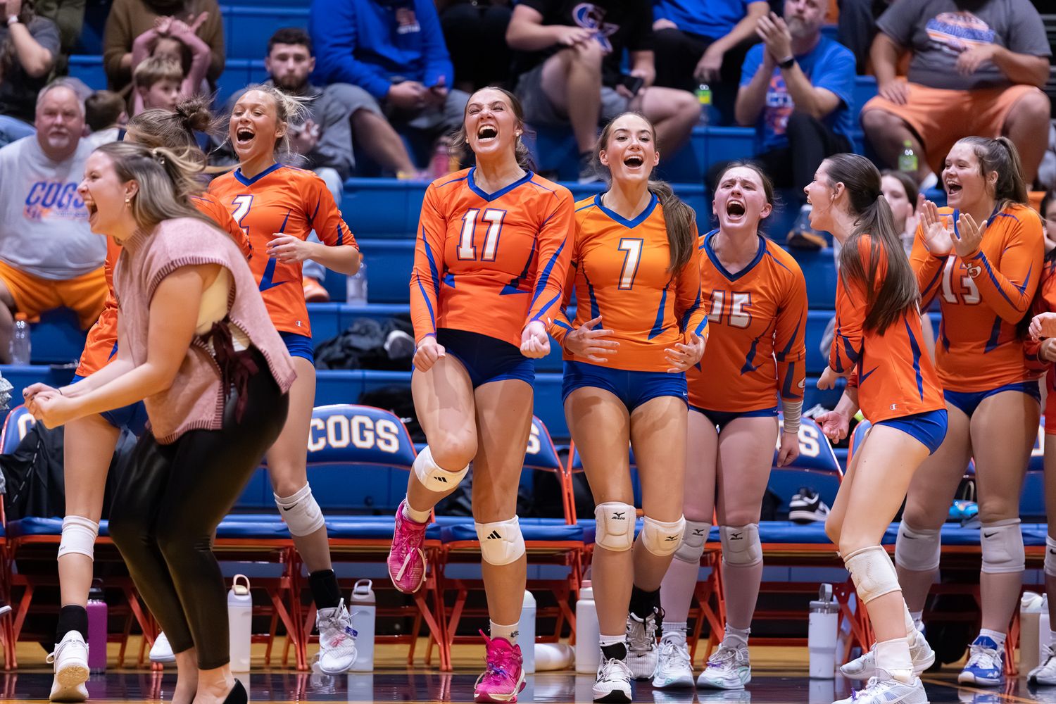 Orange-uniformed volleyball team celebrates enthusiastically on the sideline during an exciting match.