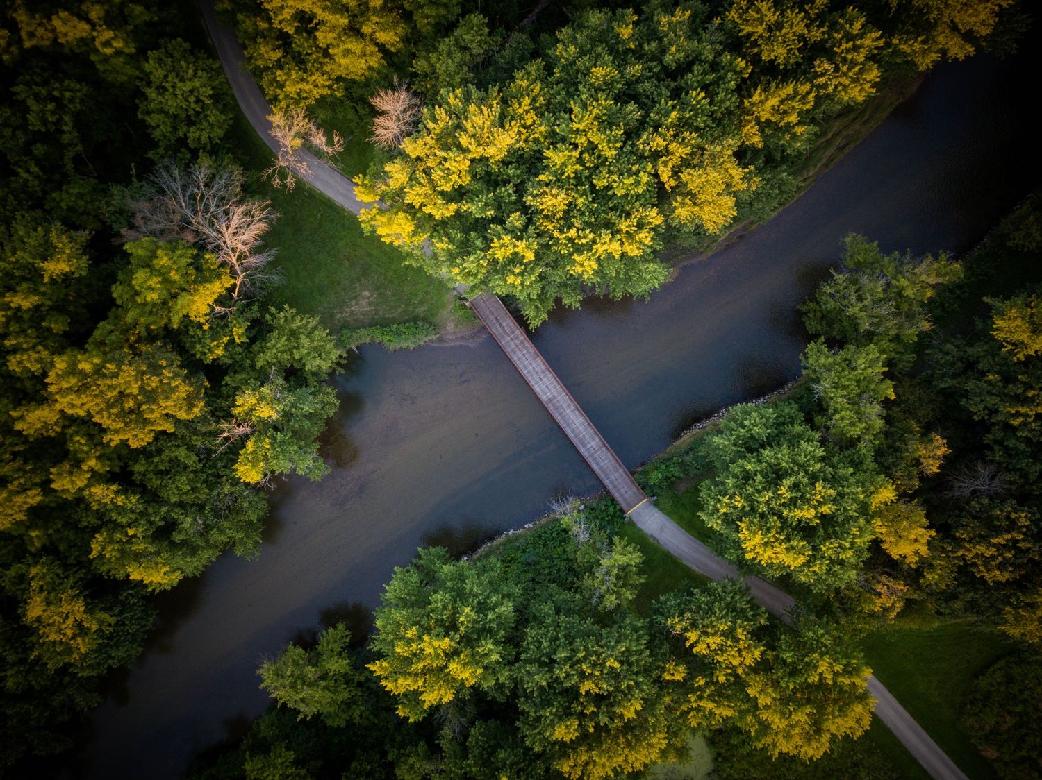 Aerial view of a bridge crossing a winding river surrounded by lush green and yellow trees in a park.