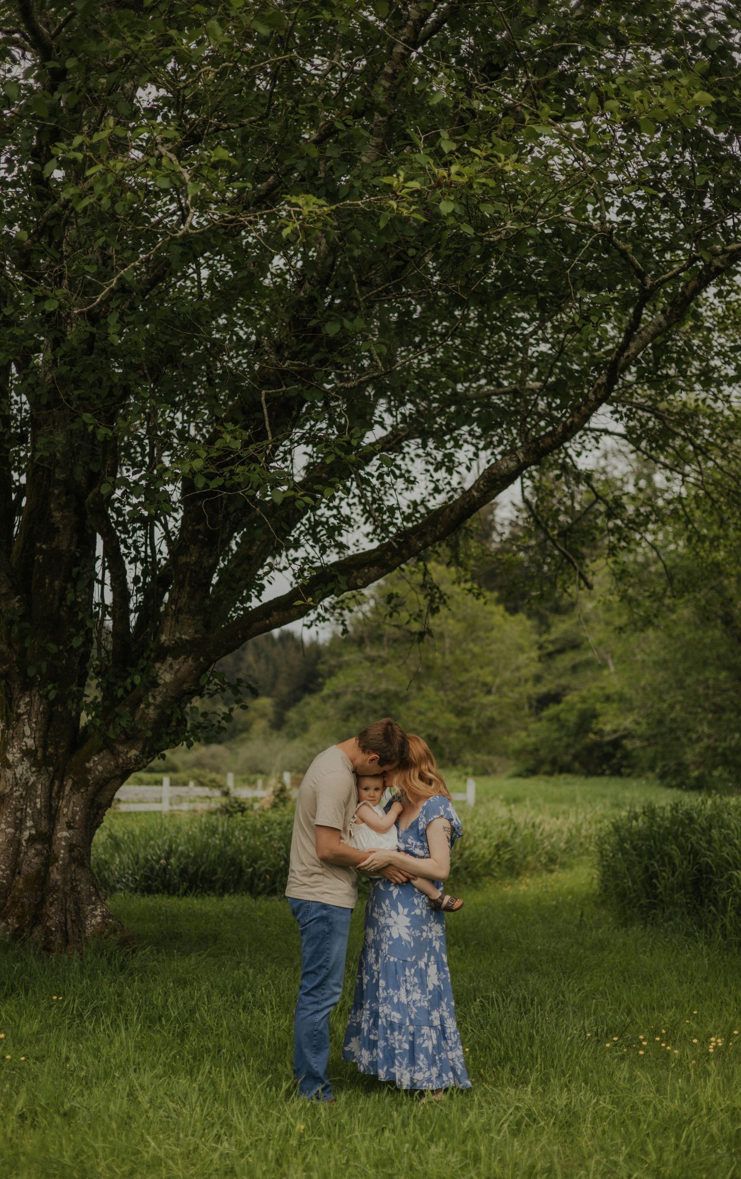 Couple embracing under large tree in lush green field.