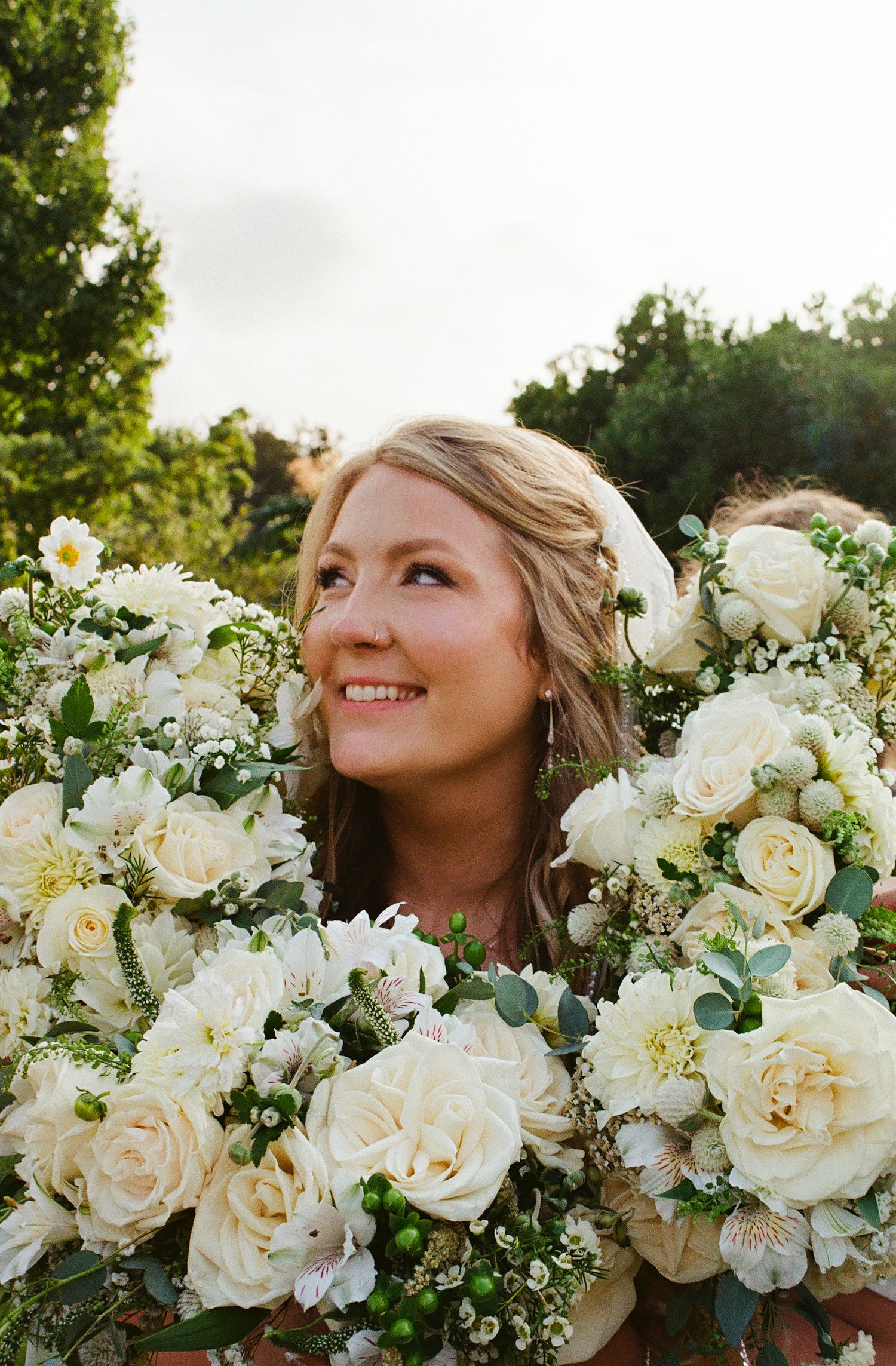 Stunning white garden roses and floral arrangements create an elegant outdoor wedding display in natural sunlight.