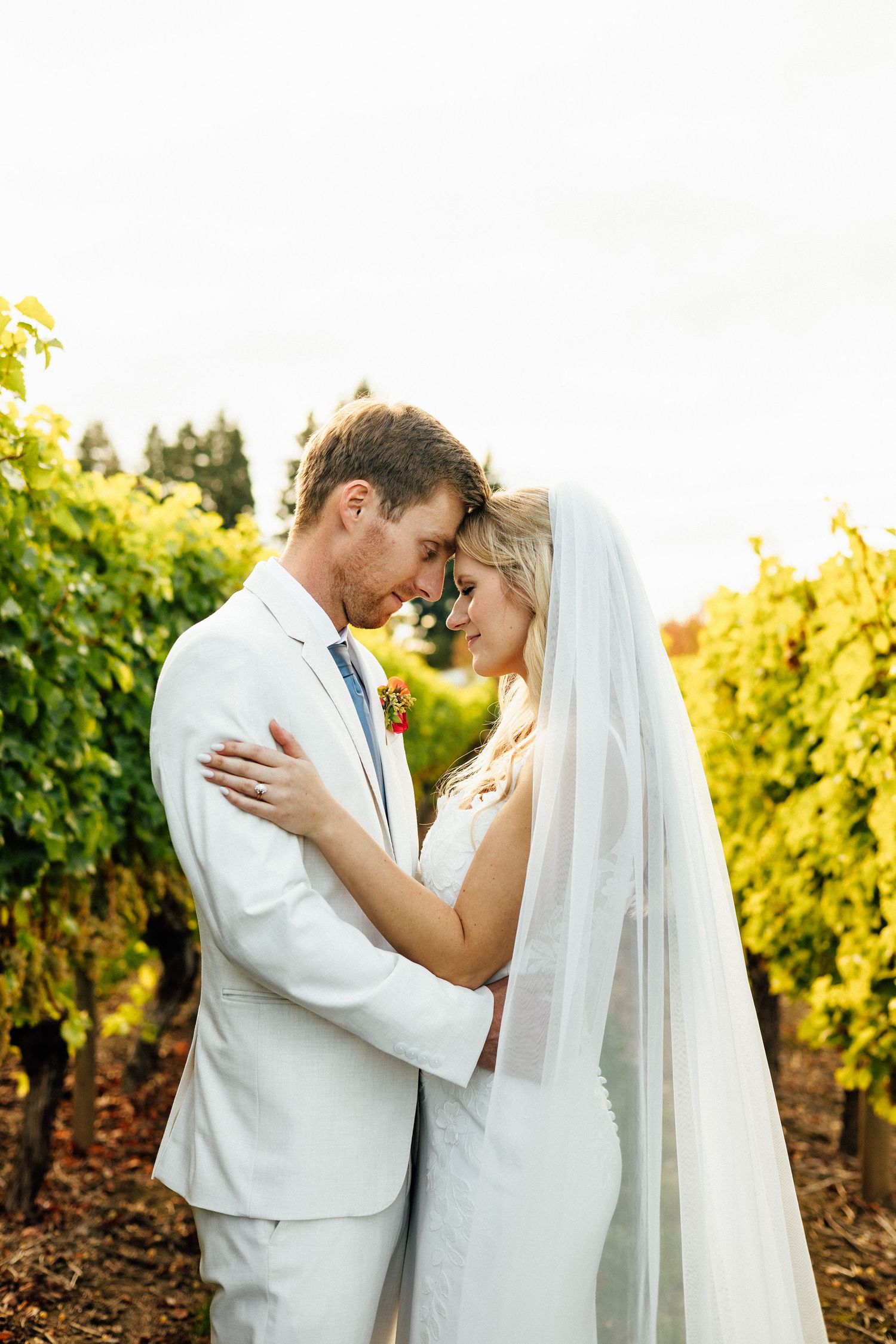 A romantic wedding couple embraces in a sunlit vineyard during golden hour.