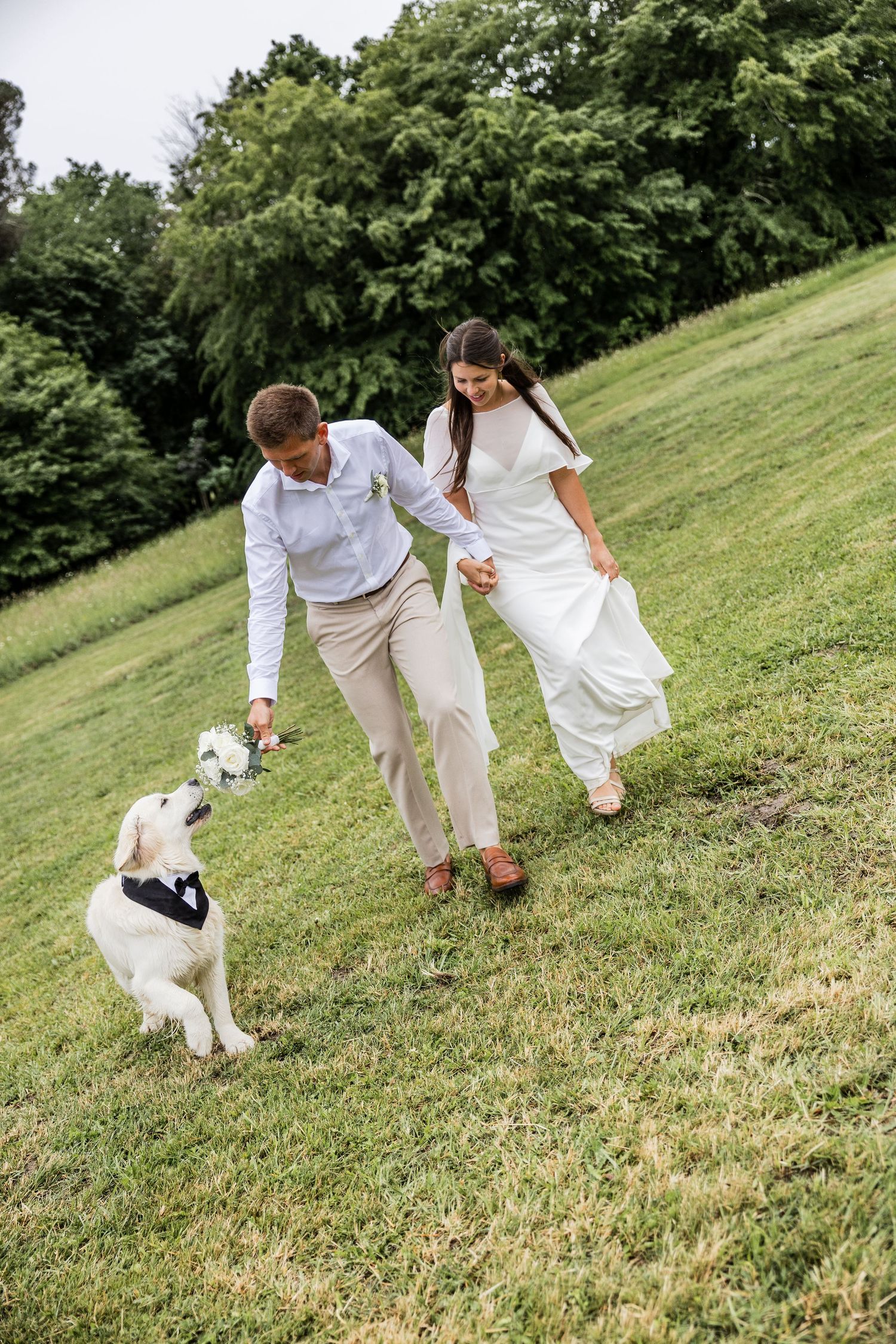 Newlywed couple holding hands running in green park with white Labrador dog wearing tuxedo bow tie.