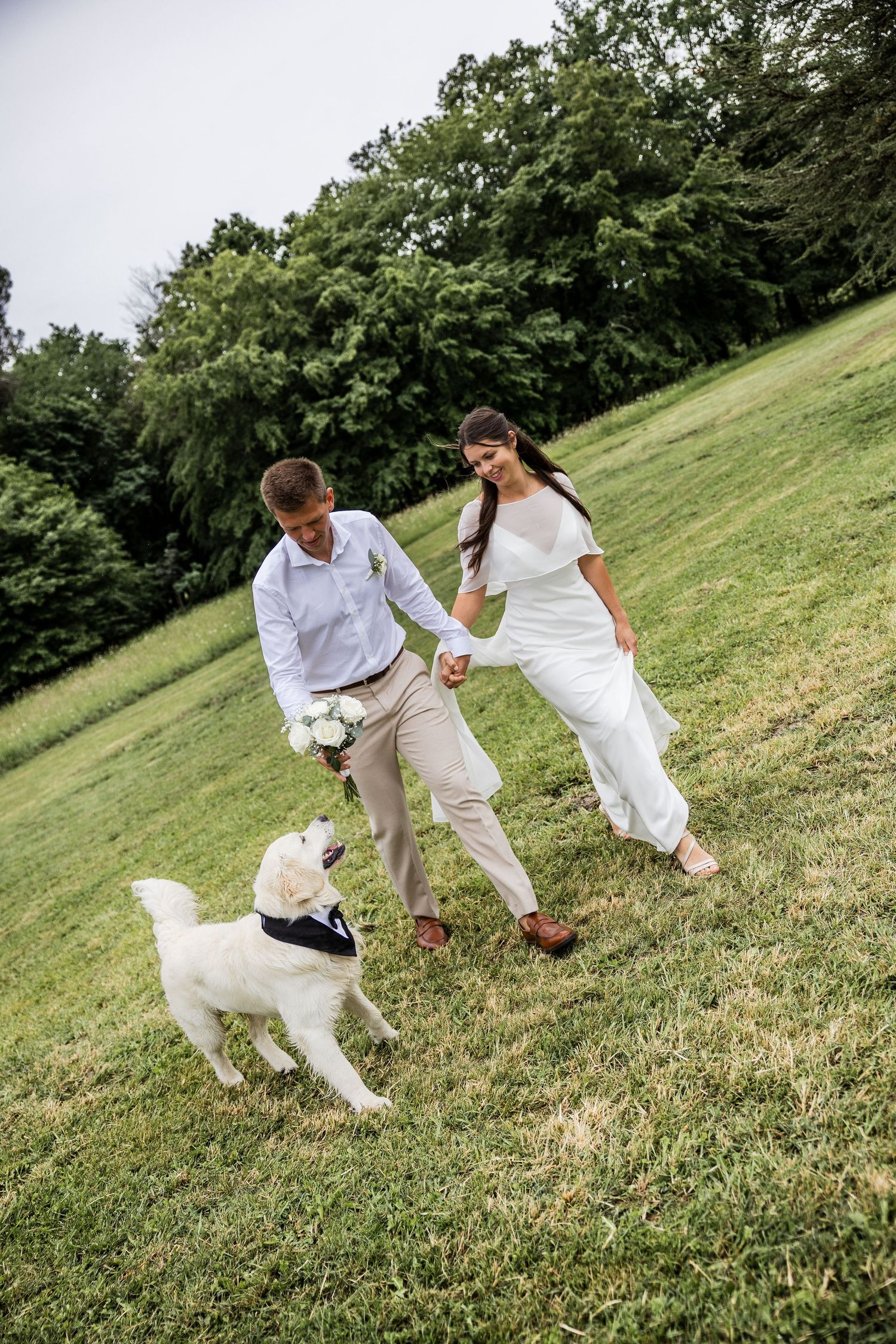 Newlywed couple holding hands and walking with their white dog wearing a bow tie on a green grassy lawn.