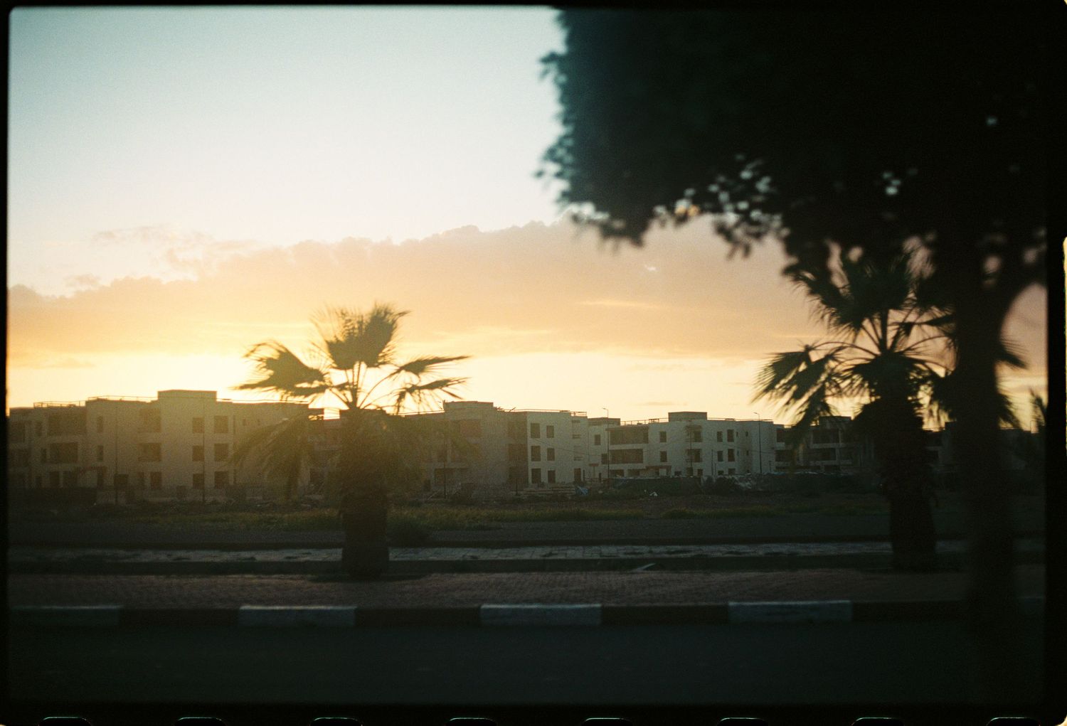 Silhouetted palm trees frame a golden sunset over low-rise buildings in a warm desert cityscape.