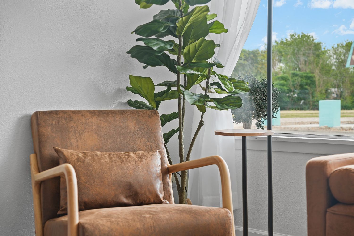Brown leather armchair with cushion beside tall fiddle leaf fig plant near bright window with outdoor view.