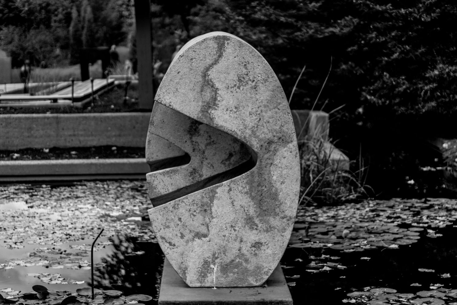 Photos by JoAnn taken at Denver Botanical Gardens