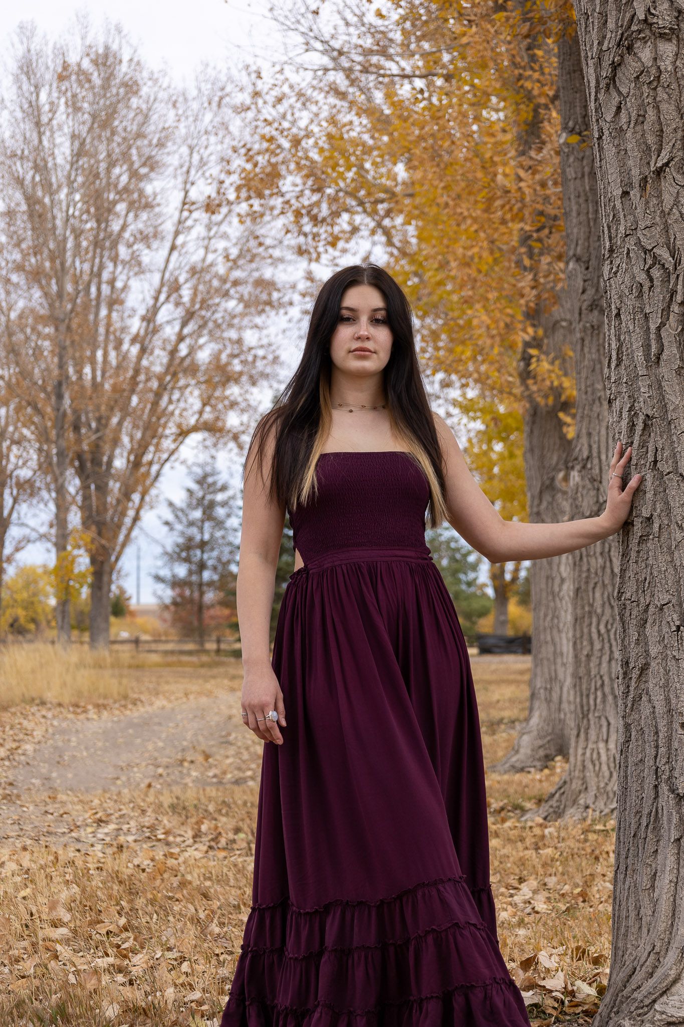 Colorado Senior Photo Session -  McCabe Meadows
 at 19700 Indianpipe Ln, Parker, CO 80134