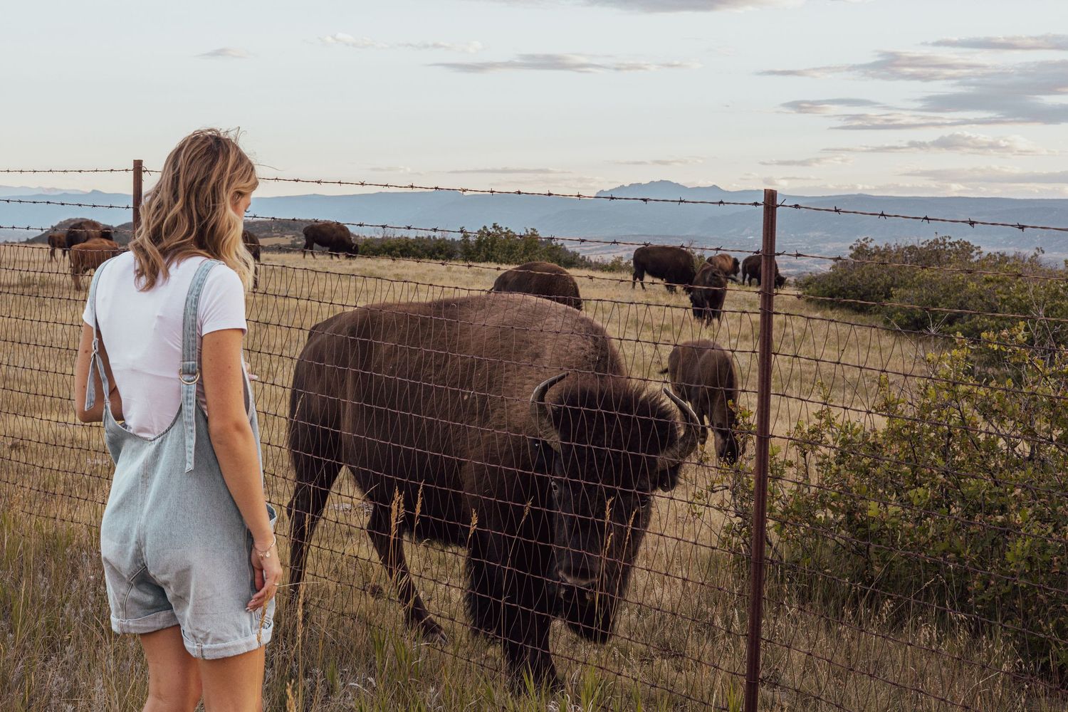 Colorado Senior Photo Session - Daniels Park - 8682 N Daniels Park Rd, Sedalia, CO 80135
