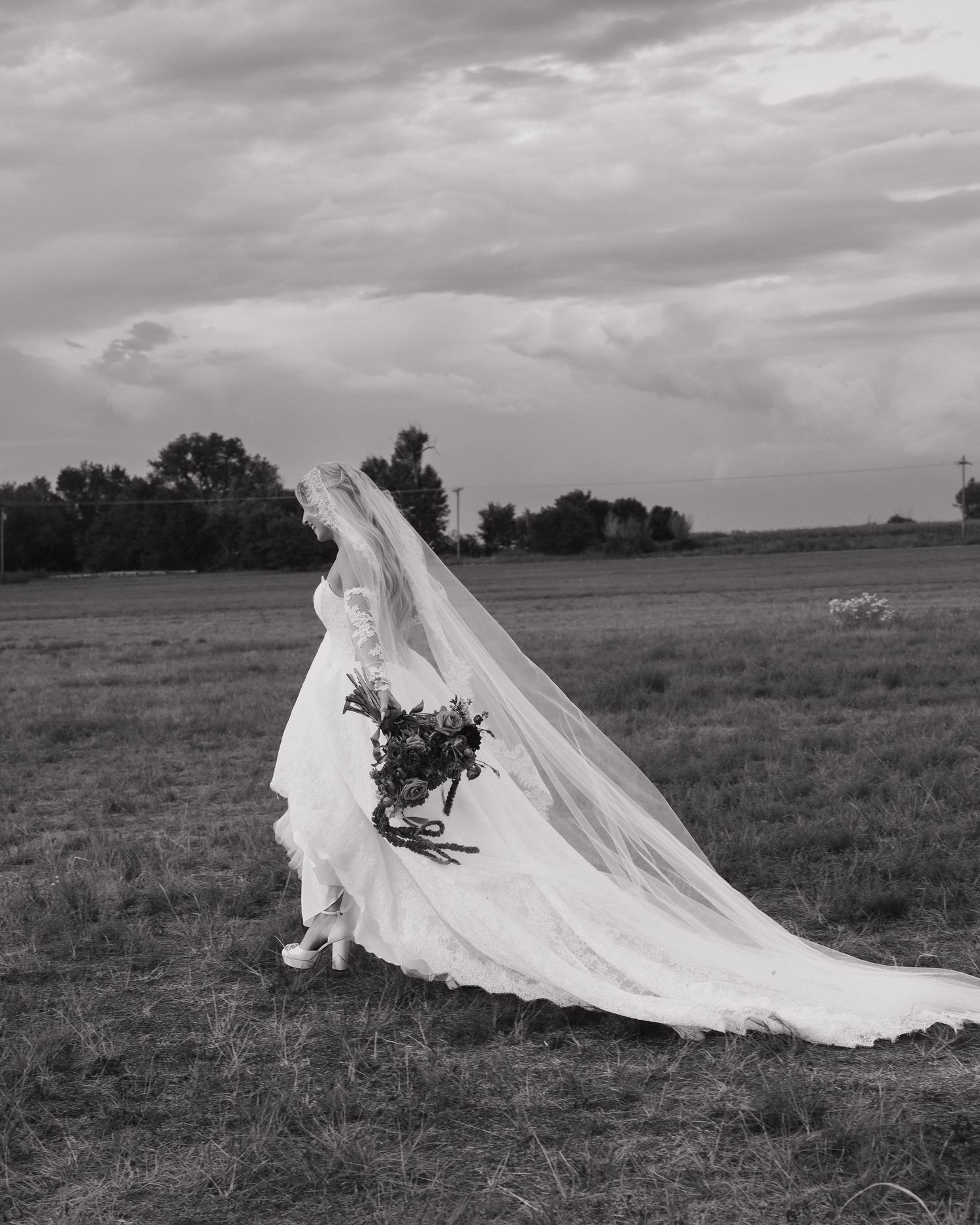 Black and white artistic photo of bride in flowing gown and veil walking through open field.